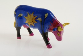 Cow Vaca Sol